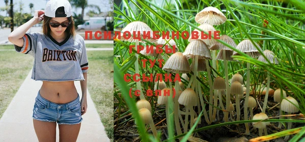 герыч Балахна