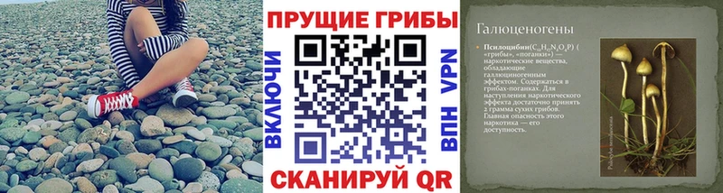 Псилоцибиновые грибы ЛСД  Кувшиново 